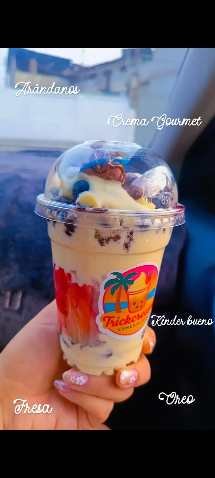 Postre gourmet Trickcreams con frutas